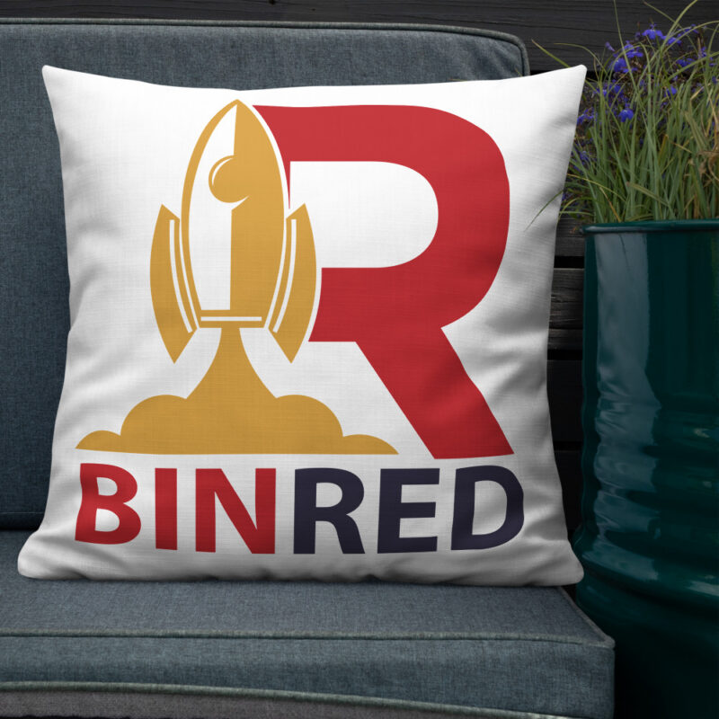 Binred Pillow - Image 15